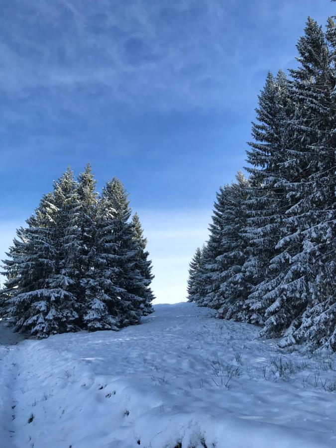 Kleine Ferienwohnung Am Rande Der Wildnis Sibratsgfäll Exterior foto